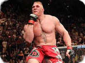 MMA, Mixed Martial Arts